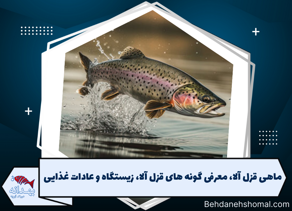 ماهی قزل آلا،معرفی گونه ها و عادات غذایی