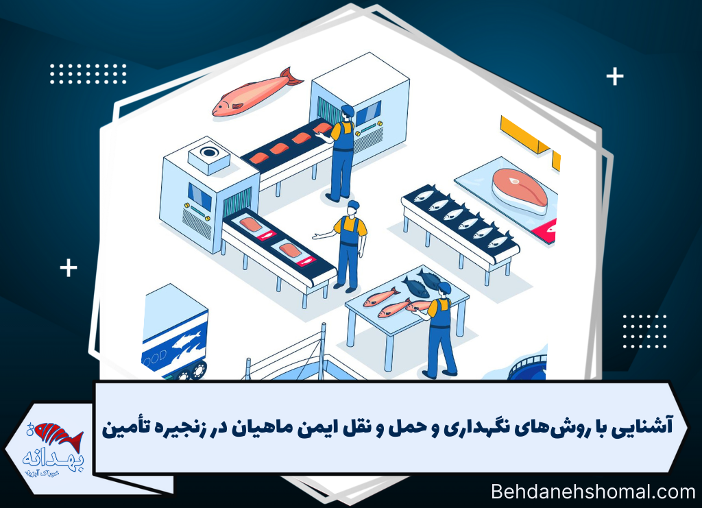 آشنایی با روش‌های نگهداری و حمل و نقل ایمن ماهیان در زنجیره تأمین
