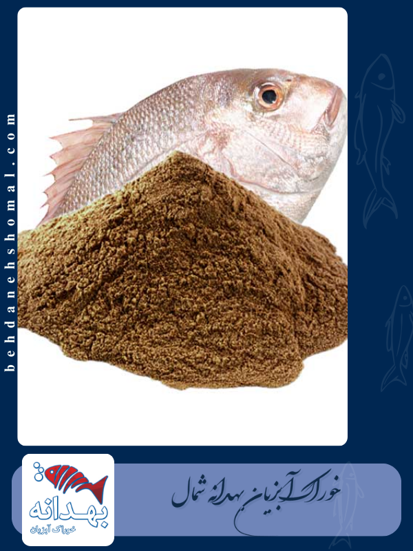 پودر ماهی بهدانه شمال