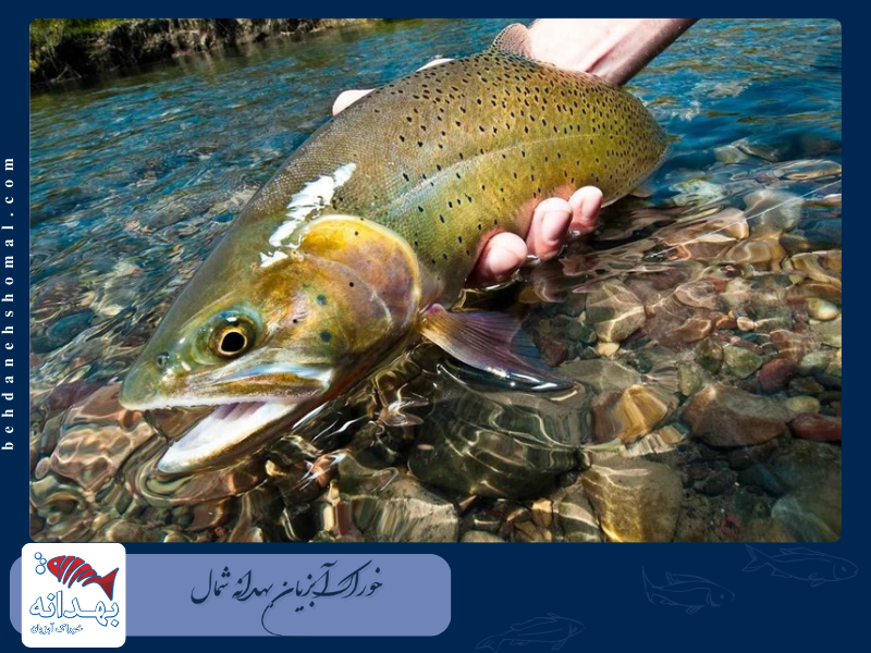 ماهی قزل آلای رنگین کمانی