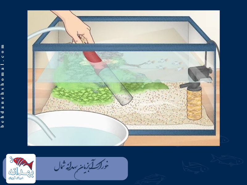 پاکسازی و تمیزکاری آکواریوم